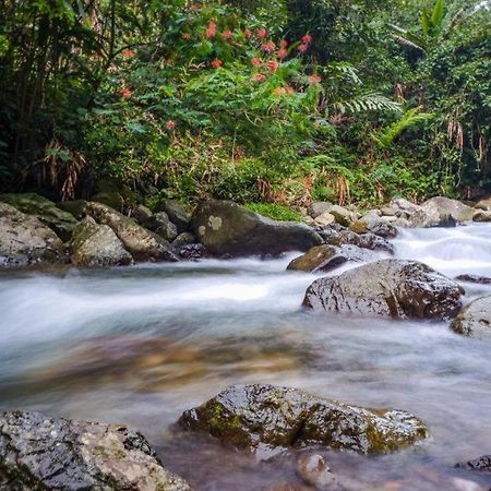 Oyo 93146 Lamin Indah Hotell Puncak Exteriör bild