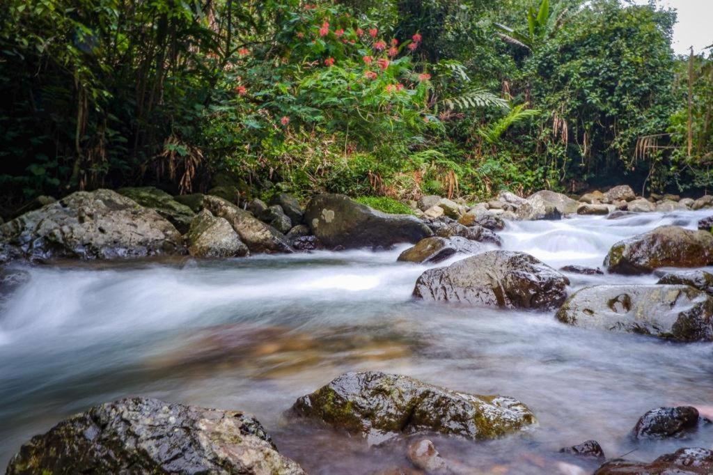 Oyo 93146 Lamin Indah Hotell Puncak Exteriör bild
